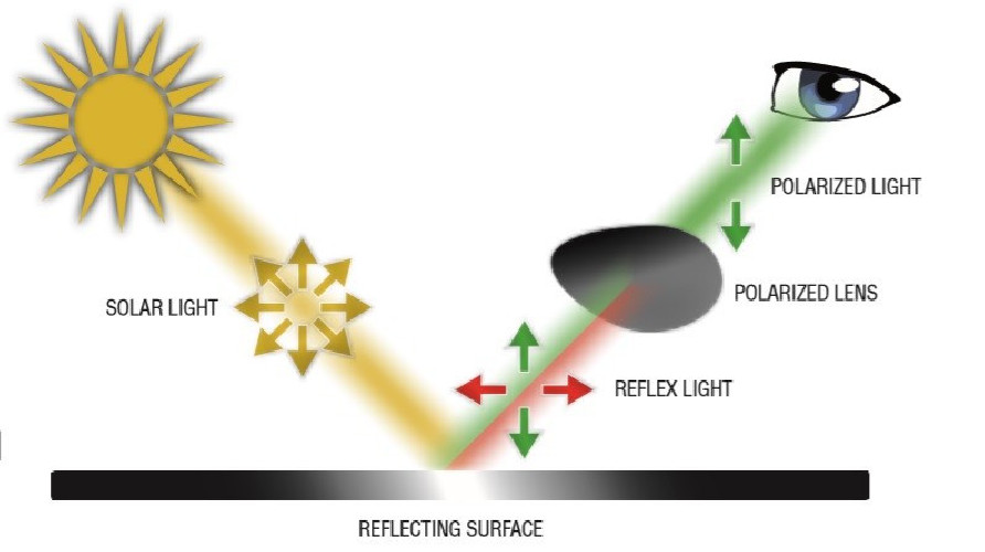 Okulary polaryzacyjne Cofra LIGHTNING POLAR czarne